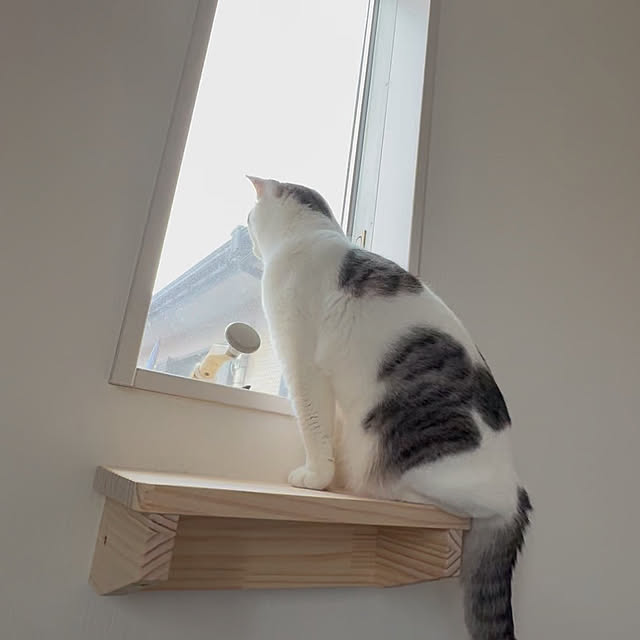 wakannaさんの実例写真