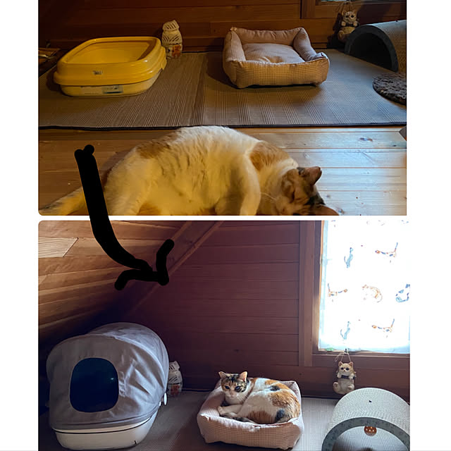 murasaki808さんの実例写真