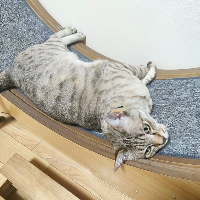 maryさんの実例写真