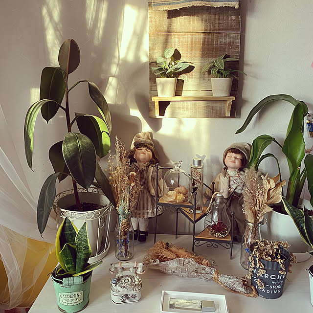 aimina0107さんの実例写真