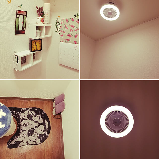 maimaiの-【2つ選べる特典付】シーリングファン サーキュライト【正規取扱店】LED ファン 照明 扇風機 調光 小型 玄関 ソケット 引っ掛け おしゃれ KSLS62NWH KSLS62LWH KSLH62NWH KSLH62LWH［ CIRCULIGHT ソケットシリーズ E26モデル・引掛けモデル / 昼白色タイプ・電球色タイプ ］の家具・インテリア写真