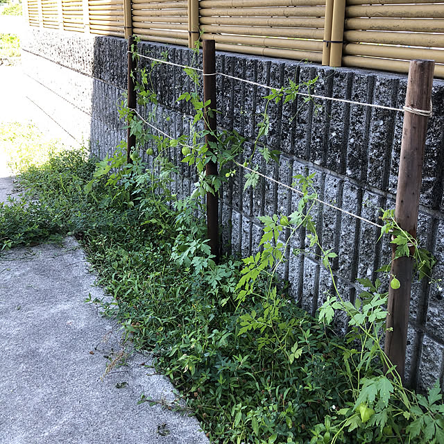 tsukiyuzuさんの実例写真