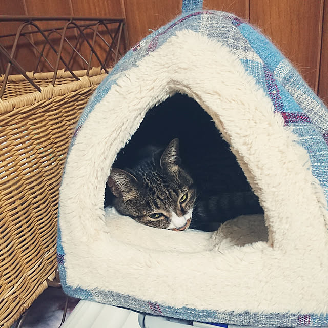nachiさんの実例写真