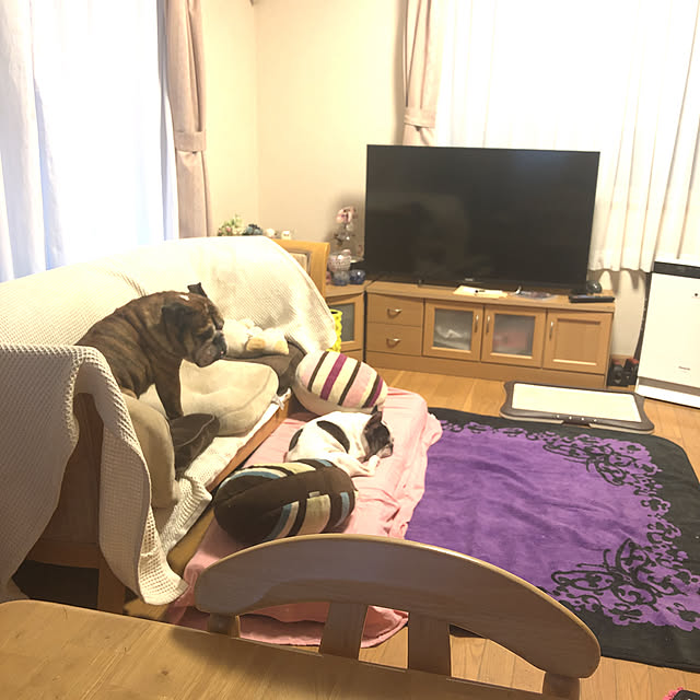 chi_gogaさんの実例写真