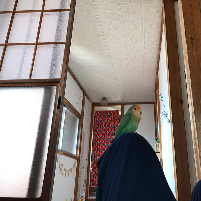 aoinokimiさんの実例写真