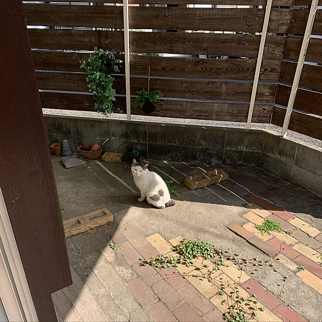rijuさんの実例写真