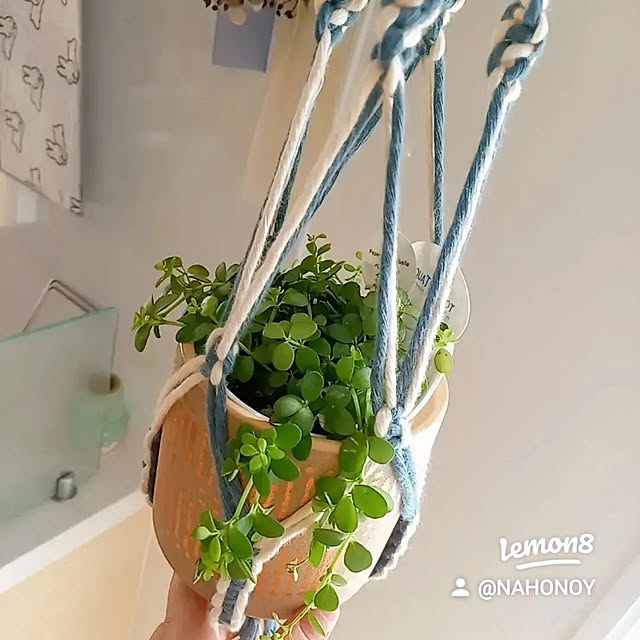 naomiさんの実例写真