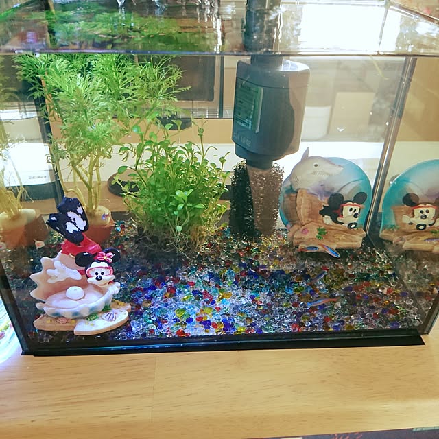 m.kom0923さんの実例写真