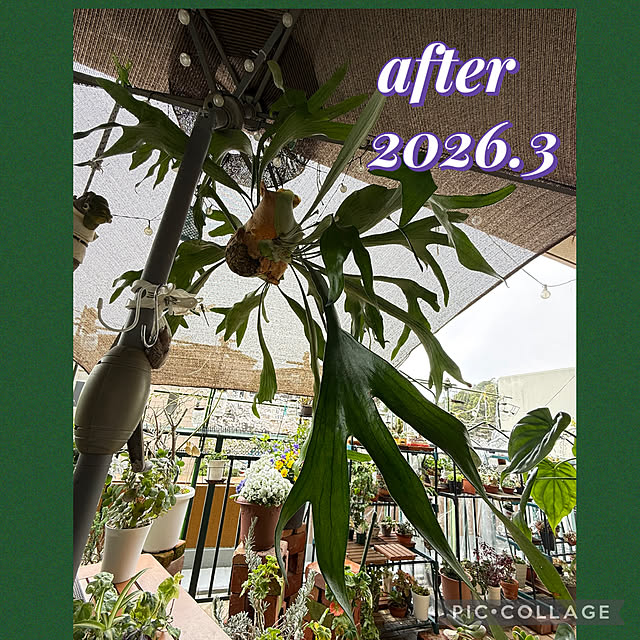 Aqettyさんの実例写真