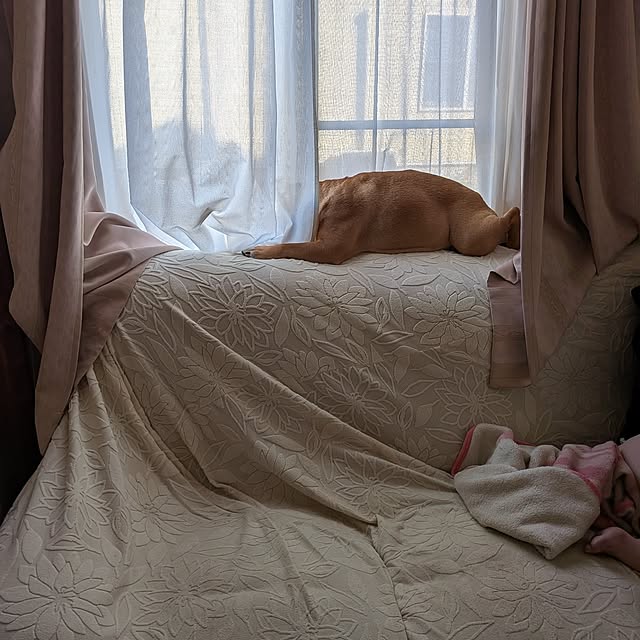 chi_gogaさんの部屋