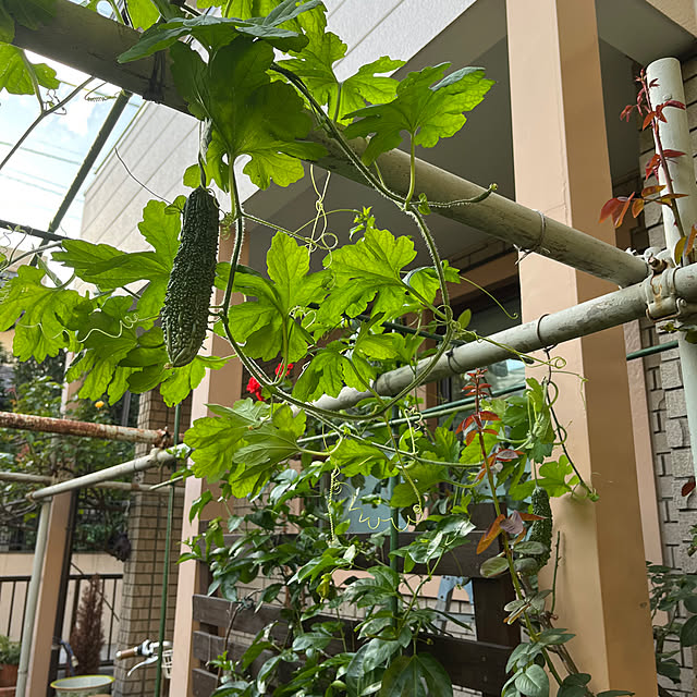 botanさんの部屋
