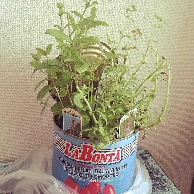 koyoriさんの実例写真