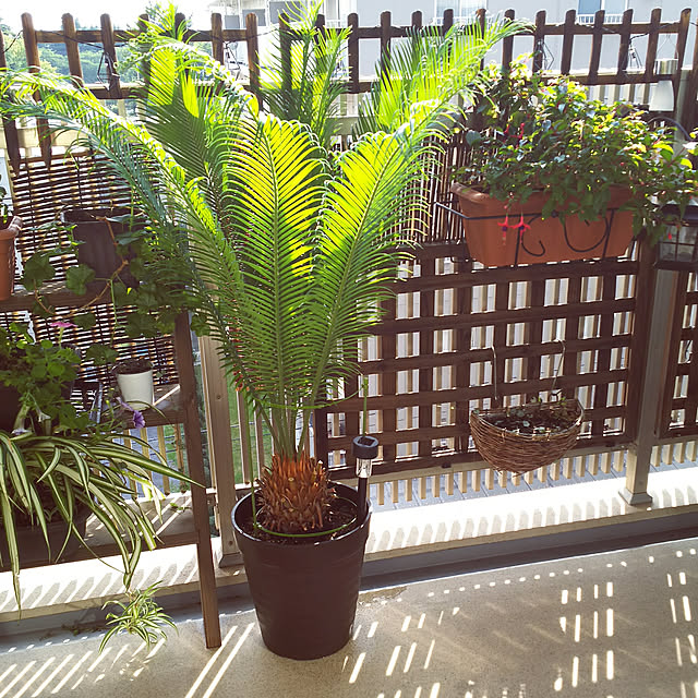 anago106さんの実例写真