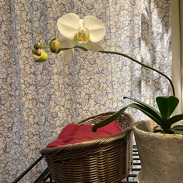 mutsuさんの部屋