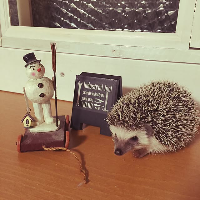 RURULOVEさんの実例写真