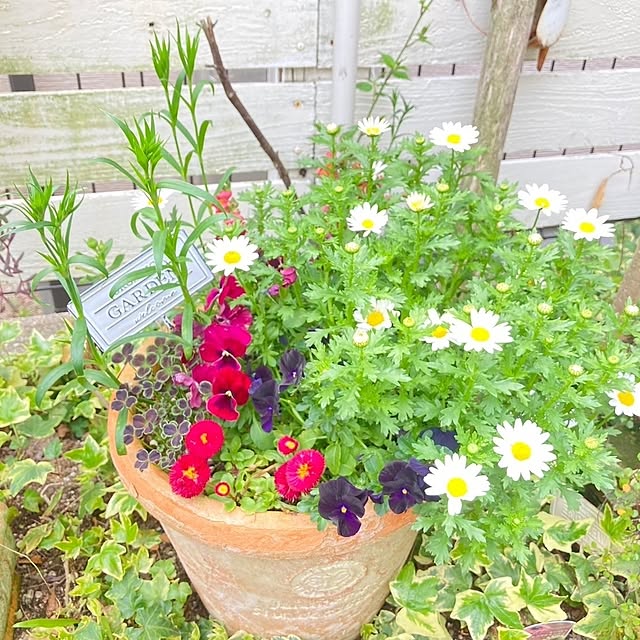 min_nimさんの実例写真