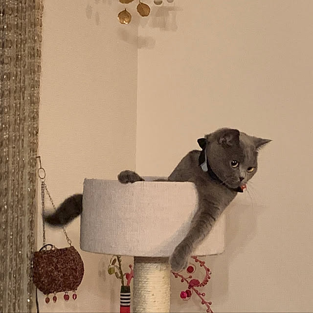 nananaさんの実例写真