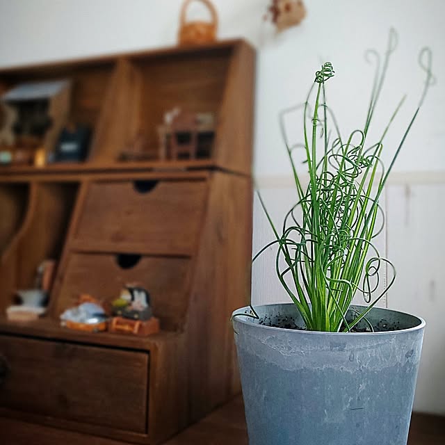 teamoさんの部屋