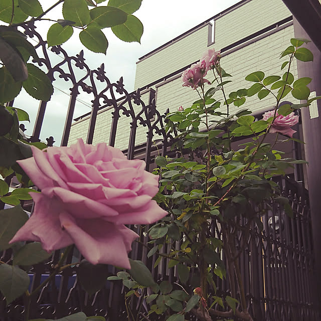 mar.333さんの実例写真