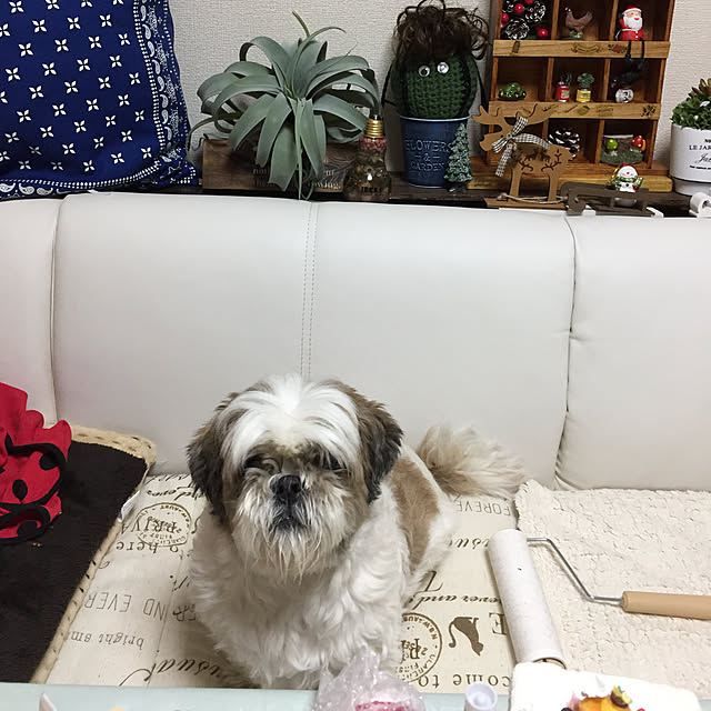 emiさんの実例写真