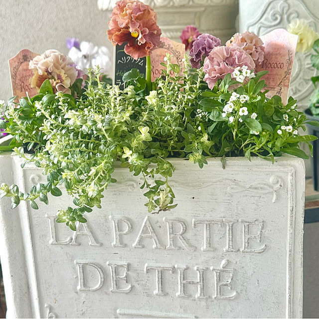 cocoさんの実例写真