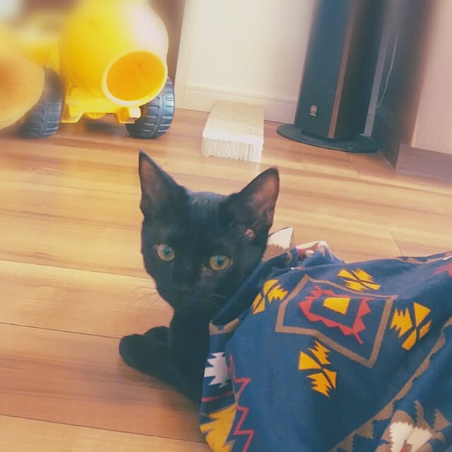 --Yu--Chi--さんの実例写真