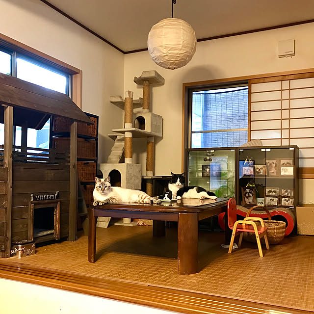 butachanさんの実例写真