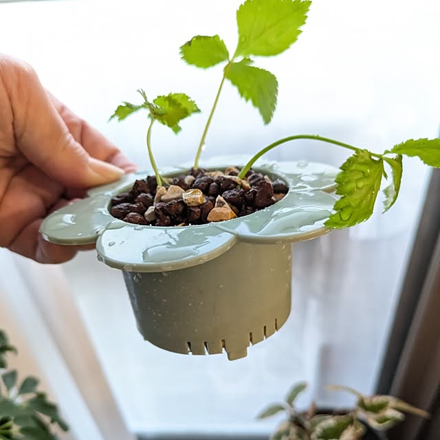 mi-saさんの部屋