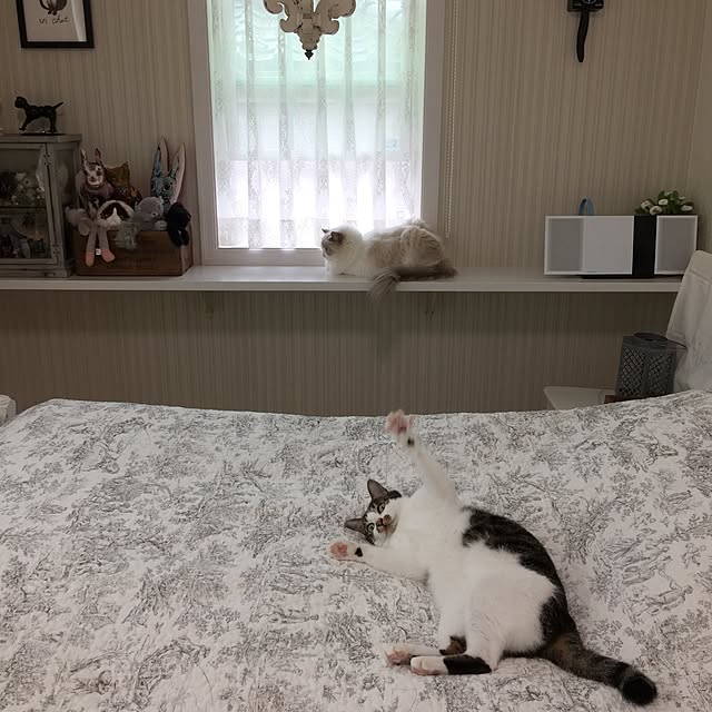 yuchiさんの実例写真