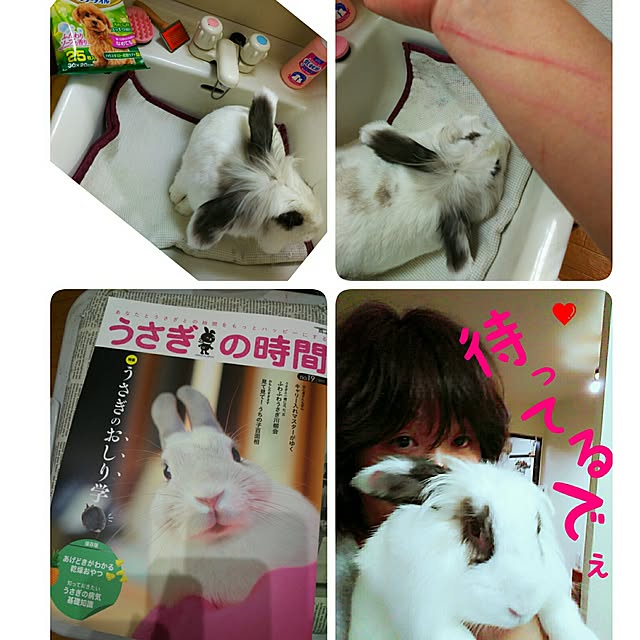WASABIさんの実例写真