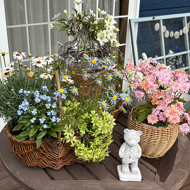 noeさんの実例写真