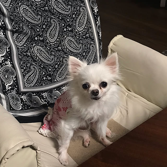 kimuraruさんの実例写真