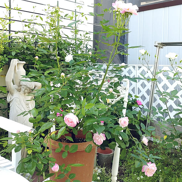 Bienvenueさんの実例写真