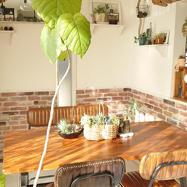 manatokyouyaharuさんの部屋