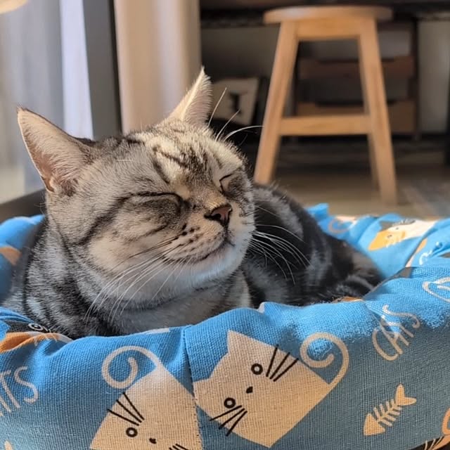 lovepeaceさんの部屋