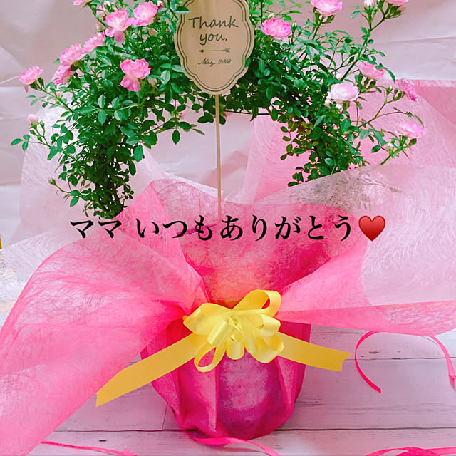 koyuriさんの実例写真