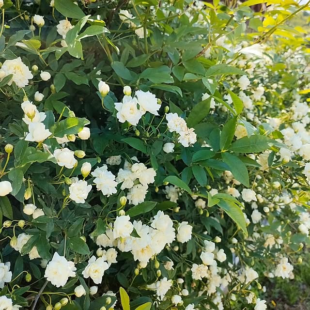 ai.happyplaceさんの部屋
