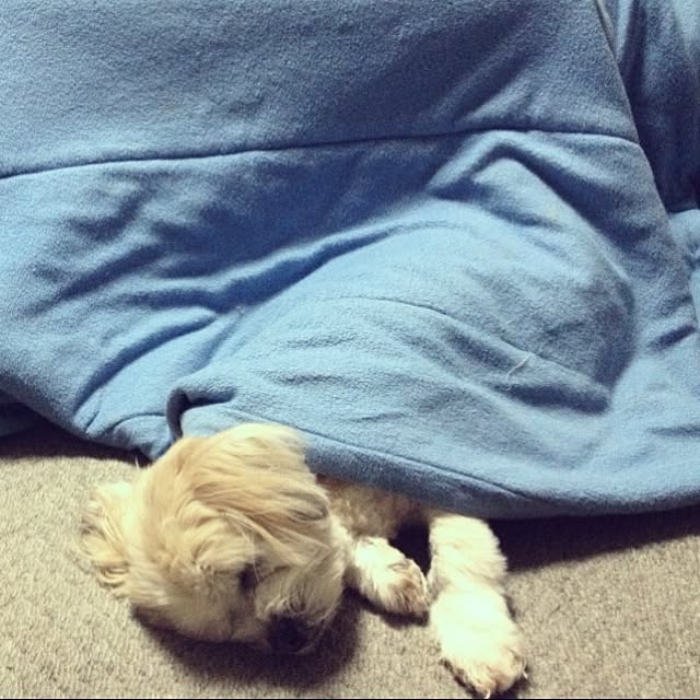 Takuさんの実例写真