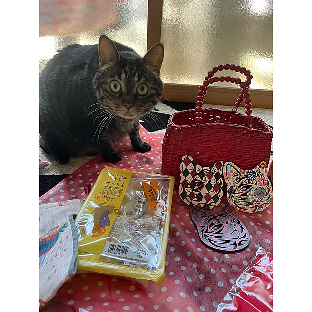 momocchiさんの部屋