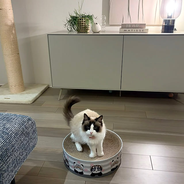 m.e.a.sさんの実例写真