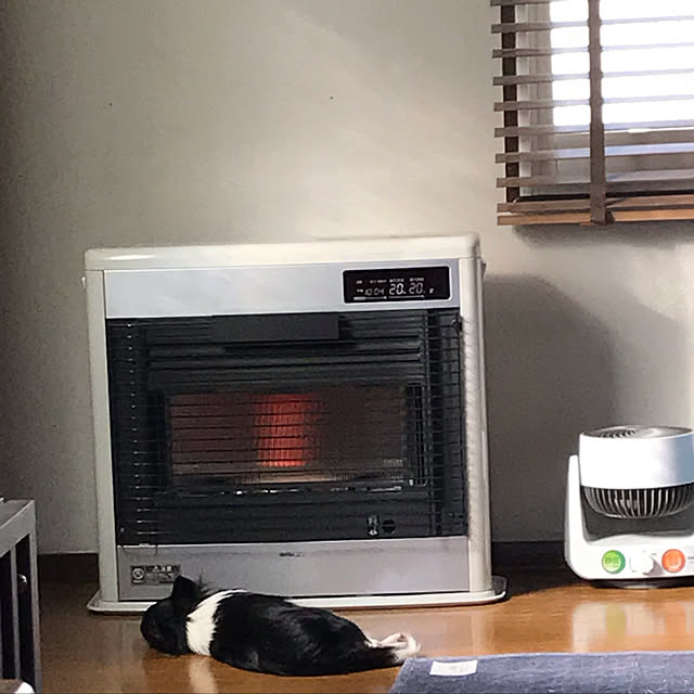 rinaさんの実例写真