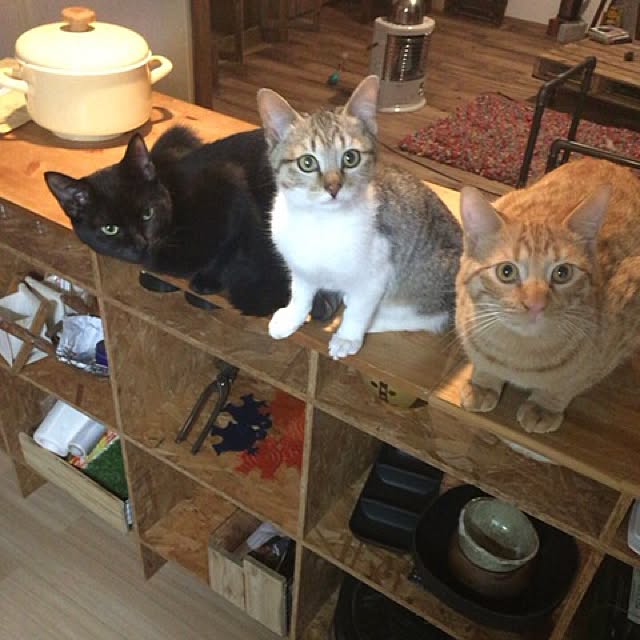 sumisumiさんの実例写真