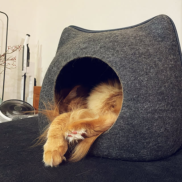 kabu10さんの部屋