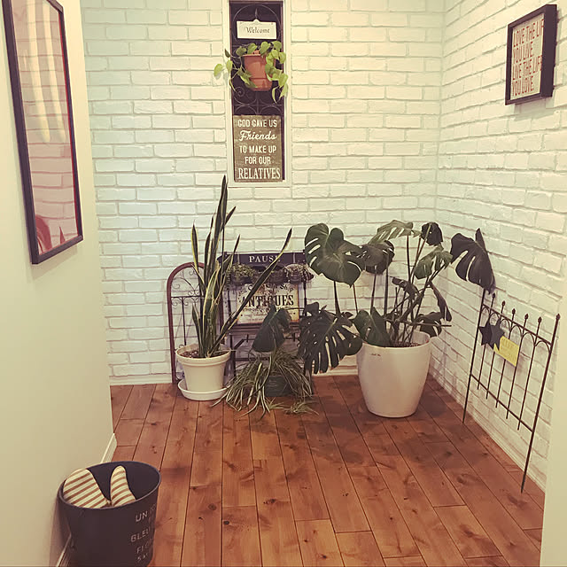 玄関/入り口/アンティーク/雑貨/観葉植物/カフェ風...などのインテリア実例 - 2018-03-16 08:19:07