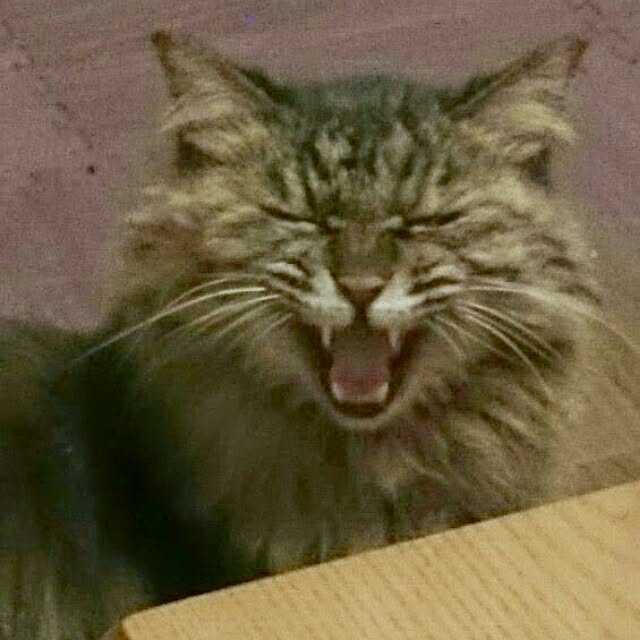 hirokoさんの実例写真