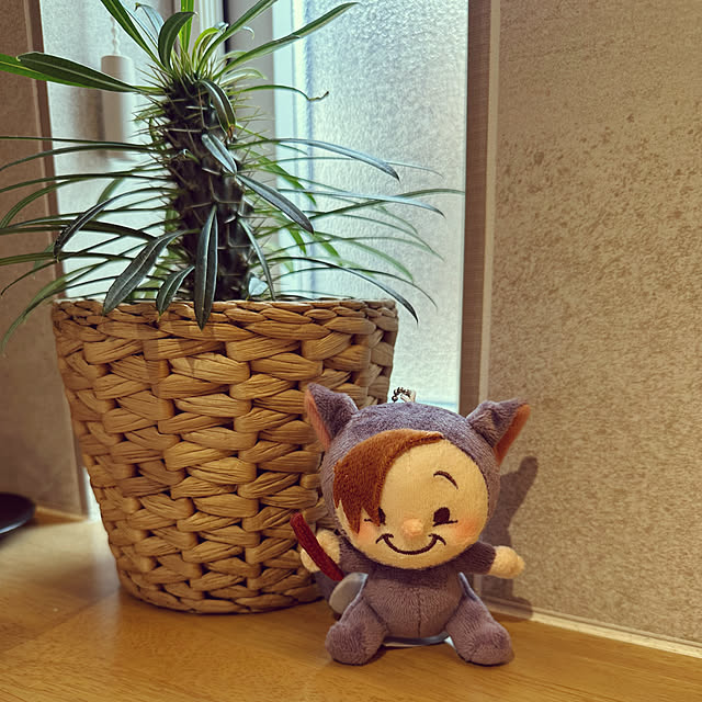 lemonadeさんの部屋