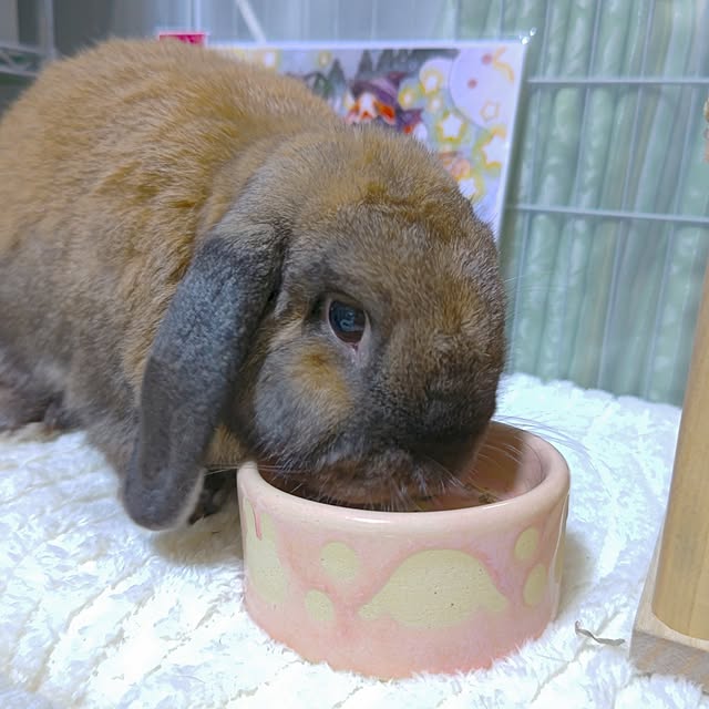 mariaさんの部屋