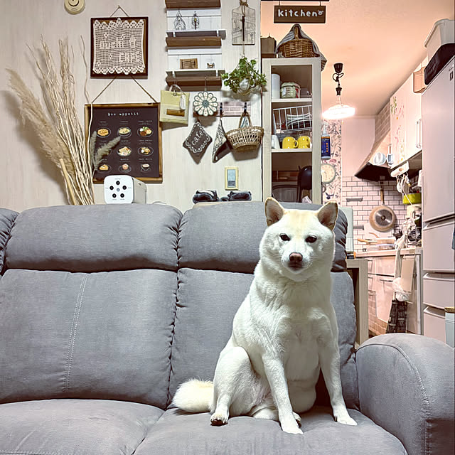 mo-nosukeさんの部屋