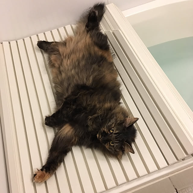 mikomaruさんの実例写真