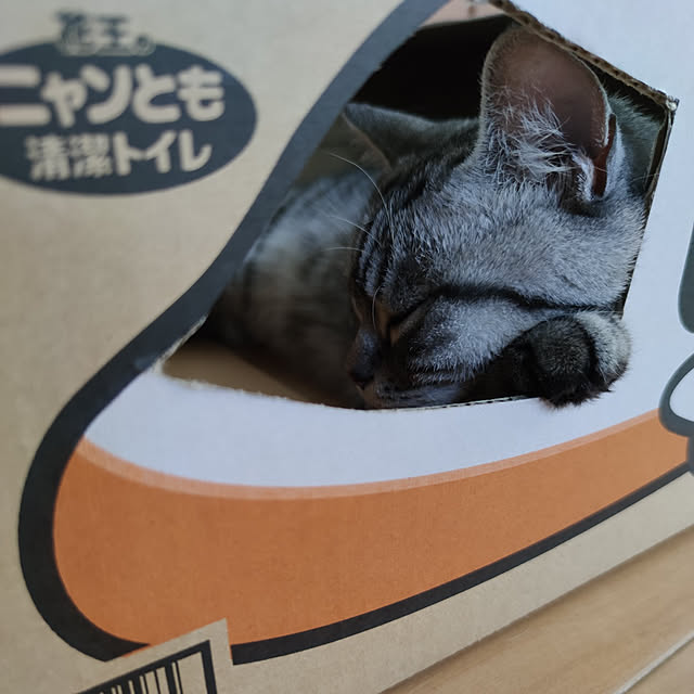 hiro3さんの実例写真